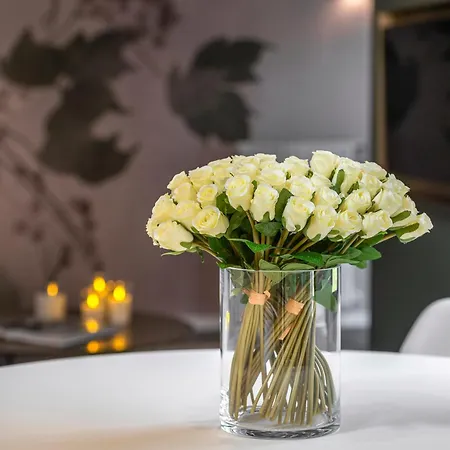 San Barnaba Palace R&r ヴェネツィア